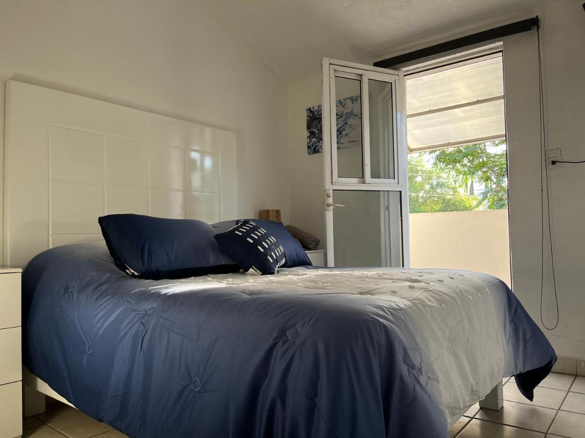Casa Violeta Lägenhet Oaxaca Exteriör bild